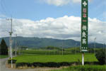 高原台地の茶畑